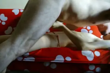 ABG Cewek Bispak Check In Hotel Mewah 2026